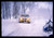 Fotografia d epoca originale SEAT IBIZA KIT CAR EVO2 WRC INTERNATIONAL SWEDISH RALLY 1998 35 mm vintage slide 1