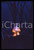AGGIUNGI UN POSTO A TAVOLA Johnny DORELLI 1990 - 35mm vintage slide (5) Diapositiva originale, in formato 35 mm.Per i diritti rivolgersi a ICharta.E' severamente vietata la riproduzione. Tutti i diritti sono riservati.ICharta mette in vendita, sul negozio eBay e in esclusiva sul sito "icharta" il proprio archivio composto da numerose diapositive e negativi fotografici d'epoca, tutti originali e autentici, che attraversano la storia del costume tra la fine degli anni Sessanta e Novanta.Si tratta di uno sguardo inedito sull'attualità, la politica, la vita quotidiana, il gossip e la cultura, che fotografa il cambiamento della nazione in quest'ultimo scorcio del XX secolo. Un'occasione unica per il mercato del collezionismo, che vede finalmente disponibile un archivio eccezionale per vastità, tematiche e condizioni, in un settore (il negativo fotografico e la diapositiva) di assoluta novità e dalle interessanti prospettive di investimento.  GOOD/buono   originale e autentica 1
