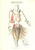 1990 ca MODA MILANO Gianni TOLENTINO - Bozzetto costume ballerina *AUTOGRAFO Bozzetto originale, autografo, realizzato a pennarello e pastello, di mano dello stilista Gianni Tolentino.Su carta, con intestazione dello showroom di via Bigli 19. GOOD/buono  Formato: 21x30 cm originale e autentica 1