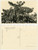Cartolina originale da collezione 1930 ca C. ZAGOURSKI «L Afrique qui disparaît» Caféier en fruits  Postcard 1