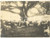 Fotografia d epoca originale 1920 ca COATIT ERITREA Tombe degl italiani caduti  Foto seriale 12x9 cm 1