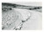 Fotografia d epoca originale 1962 SARDEGNA GALLURA Area fiume e diga del LISCIA  Lavori Foto 15x10 2 1