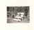 Fotografia d epoca originale 1938 MILANO Istituto Vittoria Colonna  Classe di bambine e maestra Foto 6x5 cm 1