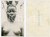1930 ca C. ZAGOURSKI «Le Congo Illustré» Femme BANGALA - Scarification (2)  Fotografia seriale, originale d'epoca, appartenente alla serie «Le Congo Illustré» del fotografo Casimir Zagourski (Léopoldville). CONDIZIONI:FAIR/discreto piegatura angolareFORMATO: 9x14 cm originale e autentica 1