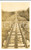 Fotografia d epoca originale 1912 MOUNT WASHINGTON USA Railroad from Base Station  Photo 2 1