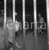 1953 BRESCIA Darix TOGNI nella gabbia con i leoni  NEGATIVO ORIGINALE 2 Nel negativo il Circo Darix TogniNegativo originale in bianco e nero su pellicola.  E' SEVERAMENTE VIETATA LA RIPRODUZIONE.TUTTI I DIRITTI SONO RISERVATI.ICharta mette in vendita, sul negozio eBay e in esclusiva sul sito "icharta" il proprio archivio composto da numerose diapositive e negativi fotografici d'epoca, tutti originali e autentici.Si tratta di uno sguardo inedito sull'attualità, la politica, la vita quotidiana, il gossip e la cultura, che fotografa il cambiamento della nazione (e non solo) tra il 1890 ed il 1990 circa. Un'occasione unica per il mercato del collezionismo, che vede finalmente disponibile un archivio eccezionale per vastità, tematiche e condizioni, in un settore (il negativo fotografico e la diapositiva) di assoluta novità e dalle interessanti prospettive di investimento. CONDIZIONI:FAIR/discretoFORMATO: cm 6 x 6 originale e autentica 1