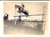 Fotografia d epoca originale 1902 TORINO IPPICA Cavallo NINICHE durante un esercizio Foto 12x9 cm 1