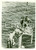 Fotografia d epoca originale 1934 PORTSAID EGITTO Duca GLOUCESTER si tuffa piattaforma incrociatore SUSSEX 1