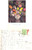 Autografo originale 1933 From the May Border Cartolina a Gaby POLONSKY da Hannah Saunders 1