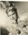 Fotografia d epoca originale 1952 CINEMA The Importance of Being Earnest  Joan GREENWOOD Photo 1