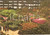 Cartolina originale da collezione 1981 GENOVA Fiera EUROFLORA Visitatori tra allestimenti floreali Cartolina 1