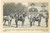 Cartolina originale da collezione 1925 ca BRETAGNE HIPPIQUE  Etalons trait postier breton vers l Argentine 1