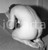 Fotografia d epoca originale 1965ca FOTOGRAFIA ANONIMA EROTICA VINTAGE nudo artistico NEGATIVO ORIGINALE 2 1