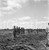 Fotografia d epoca originale 1965 ca LUABO MOZAMBICO piantagione di canna da zucchero NEGATIVO ORIGINALE 11 1