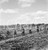 Fotografia d epoca originale 1965 ca LUABO MOZAMBICO piantagione di canna da zucchero NEGATIVO ORIGINALE 16 1