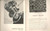 Materiale pubblicitario d’epoca MILANO TEATRO ALLA SCALA Programma stagione 19321933 ILLUSTRATO 2