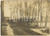 Fotografia d epoca originale 1915 ca PAVIA Caserma Menabrea  Scuola Genio  Governo dei cavalli DANNEGGIATA 1