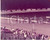 Fotografia d epoca originale 1984 IPPICA VINOVO Gran Premio MARANGONI  Vincitore DARIF EFFE in gara  Foto 1 1