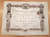 Oggetto da collezione cartaceo 1920 FIRENZE R. Istituto Scienze Sociali Cesare Alfieri Diploma A.P. FERRAZZA 1