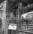 Fotografia d epoca originale 1960ca TUTTO TOTO  riprese in esterni ROMA tecnico del suono NEGATIVO ORIGINALE 1