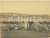 Fotografia d epoca originale 1900 ca ROMA Porto di Ripa Grande e Lanterna Foto 24x18 cm animata barche 1