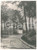 Fotografia d epoca originale 1950 ca LUMMEN BELGIUM Photo Emile JAMINÉE House in the Woods  17x23  cm 1
