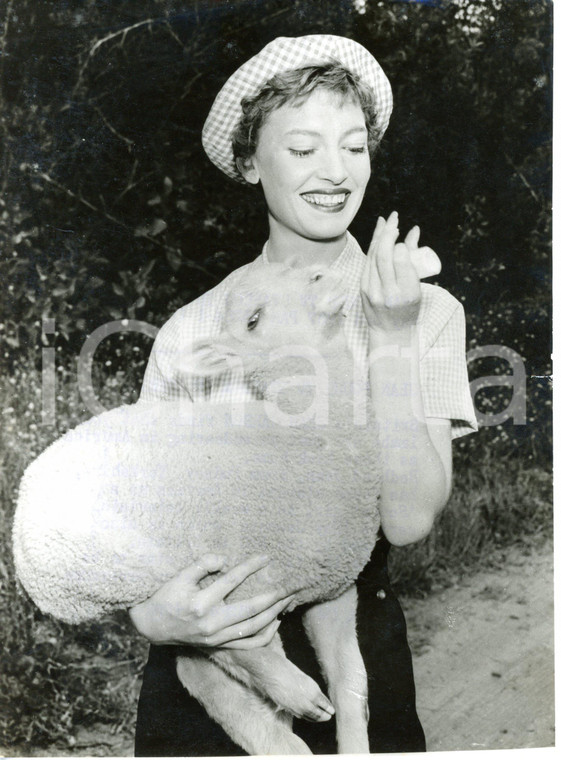 1957 CINEMA - USA Jean CARSON holding a lamb *Photo 15x20 cm