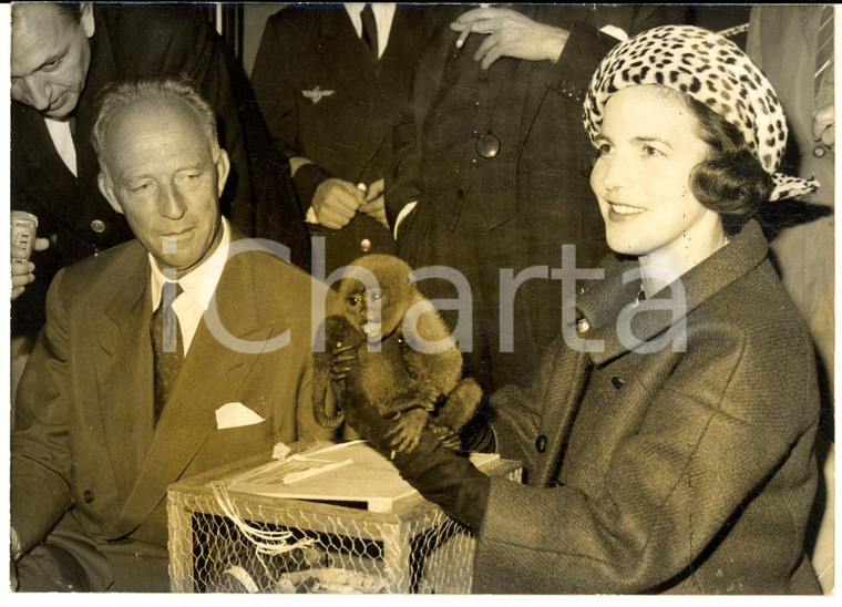 1962 PARIS ORLY Liliane de Rethy et Léopold de Belgique avec ouistiti *Photo