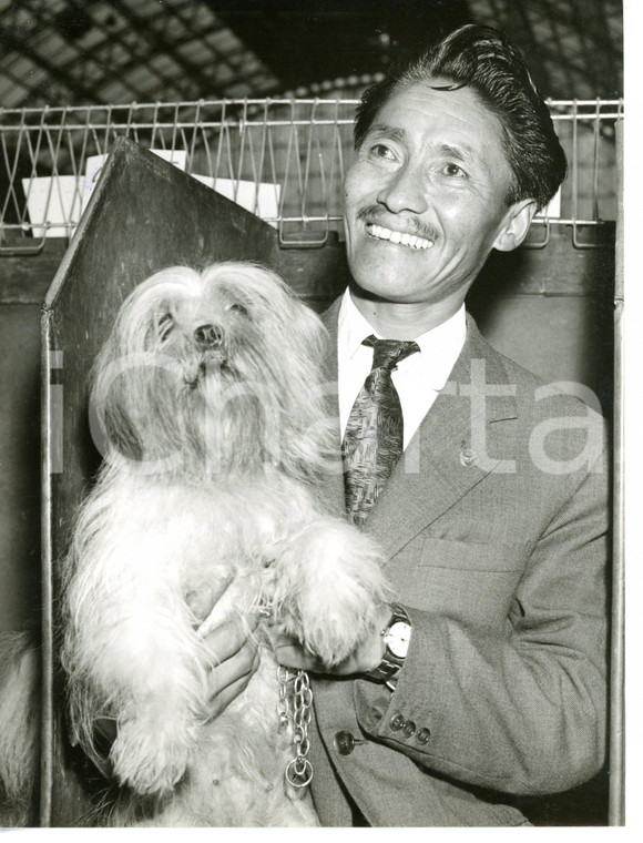 1957 LONDON Crufts Dog Show - Tenzing NORGAY raising a dog *Photo 15x20 cm