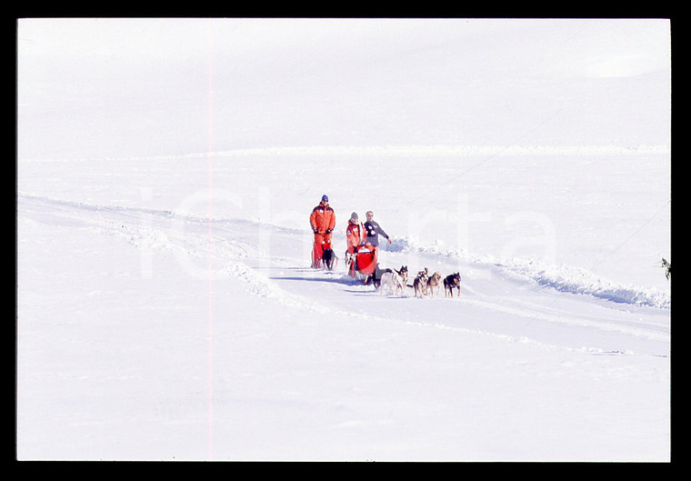 35mm vintage slide* 2001 CERVINIA - Amedeo DI SAVOIA e Dodo PERRI con la slitta