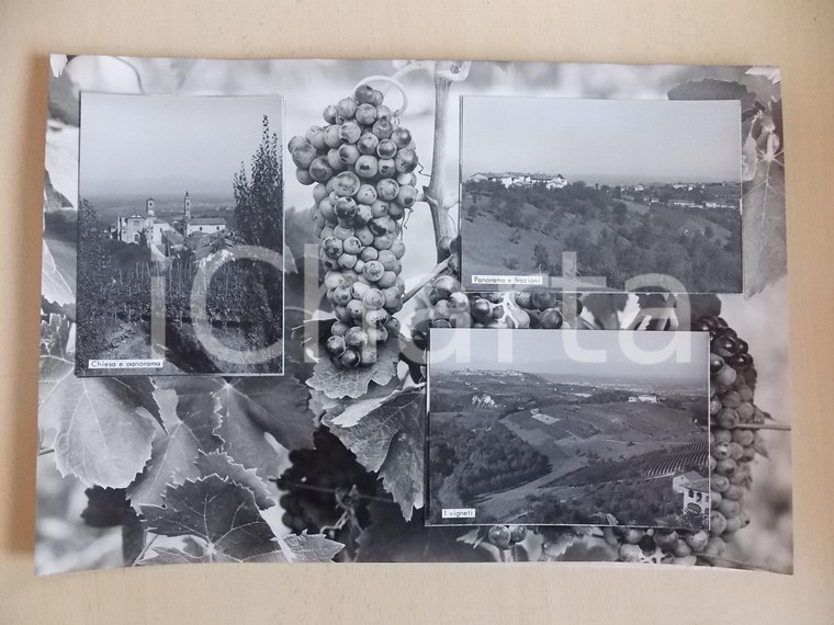 1960 ca BAROLO Panorama con vigneti *Bozzetto preparatorio per cartolina 39x47