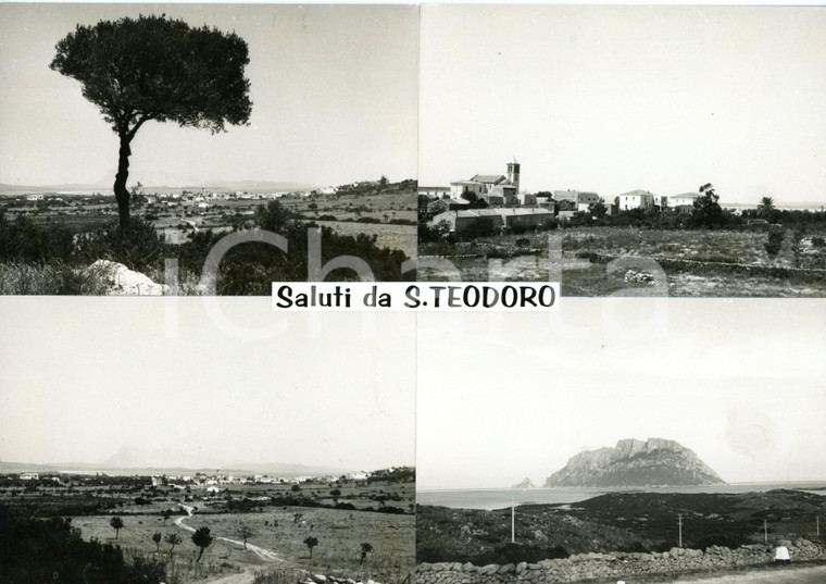 1960 ca SAN TEODORO (SS) Veduta panoramica *Bozzetto per cartolina 30x21 cm