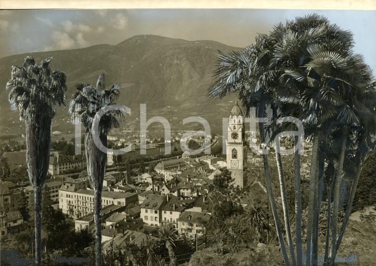 1960 ca MERANO Scorcio tra le palme *Bozzetto oreparatorio per cartolina 30x24