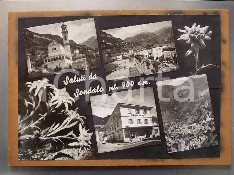 1960 ca SONDALO (SO) Albergo DELLE ALPI *Bozzetto per cartolina 40x30 cm