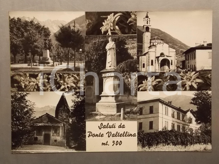 1960 ca PONTE IN VALTELLINA (SO) Panorama *Bozzetto per cartolina 35x25 cm