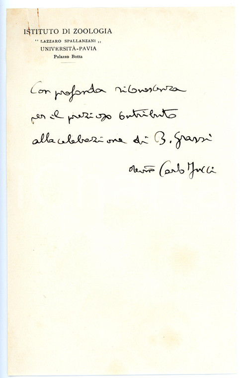 1954 UNIVERSITÀ PAVIA Biologo Carlo JUCCI - Celebrazioni G. B. GRASSI *AUTOGRAFO