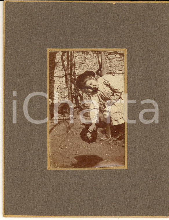 1910 ca PIEMONTE (?) Ritratto di bambina con un tacchino - Foto COSTUME 11x14