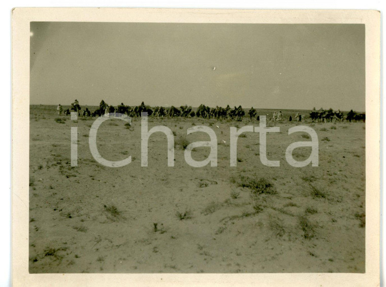 1929 BUERAT EL HSUN (LIBIA) Carovana di militari e beduini con cammelli *Foto