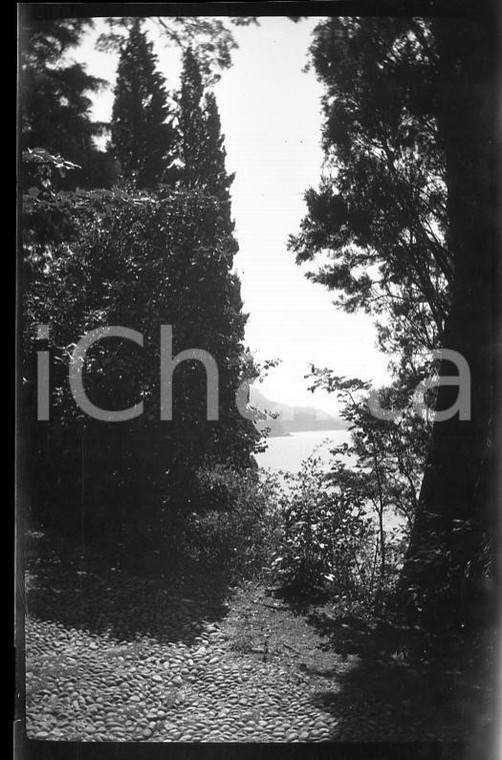 6X4cm NEGATIVO ORIGINALE* 1930 BELLAGIO Parco di Villa Serbelloni LAGO DI COMO 1