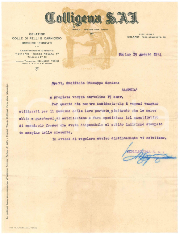 1924 TORINO Corso Novara 77 - COLLIGENA S.A. Gelatine e colle di pelli - Lettera