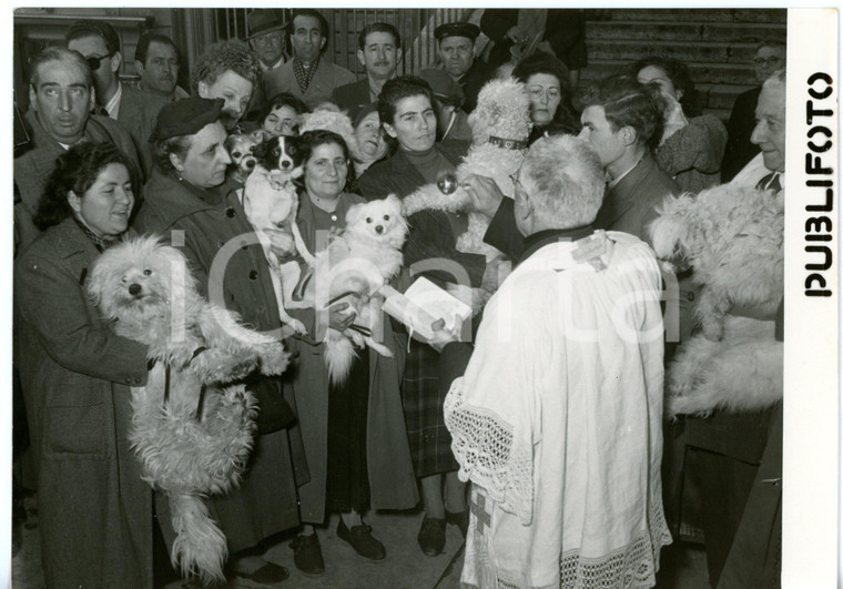 1955 ROMA Sant'Antonio Abate - Benedizione degli animali in Piazza Vittorio FOTO