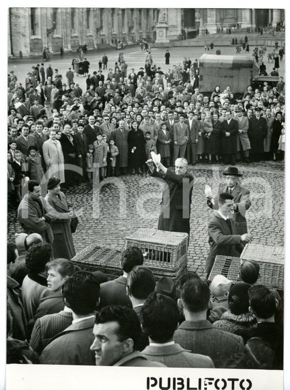 1954 ROMA Piazza San Pietro - Lancio di colombe in onore di papa PIO XII - Foto