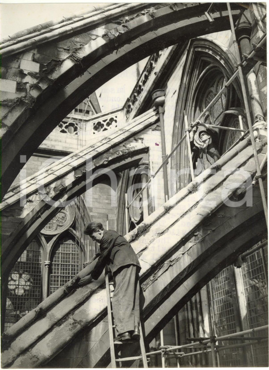 1953 LONDON Westminster Abbey - Restoration work on a buttress *Photo 15x20