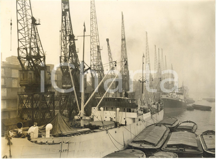 1954 POOL OF LONDON Dockers' strike - Ships moored on the Thames *Photo 20x15