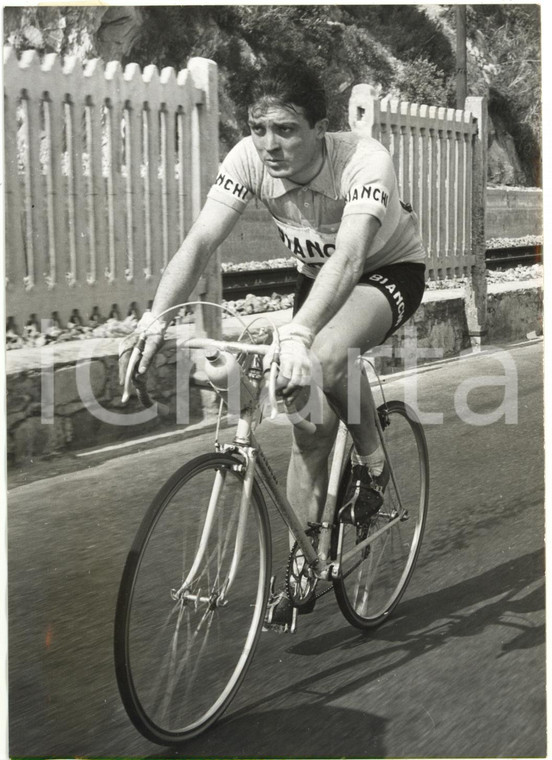 1954 (ma 1952) ITALIA CICLISMO - Loretto PETRUCCI - Ritratto del ciclista *Foto