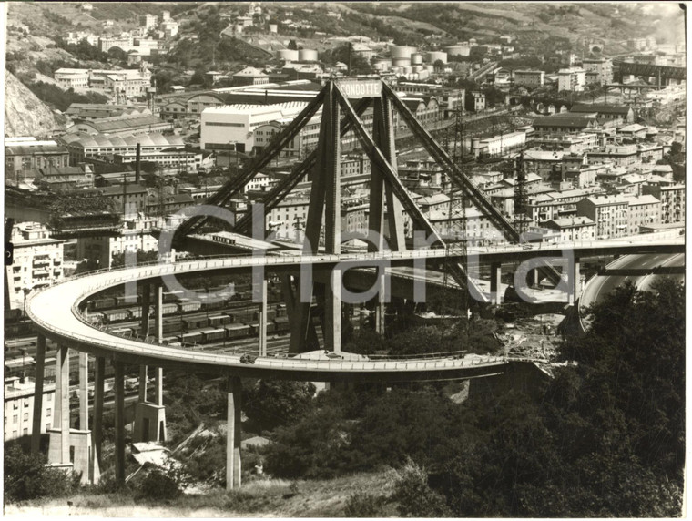 1965 ca GENOVA PONTE MORANDI Costruzione del viadotto autostradale - Foto 24x18