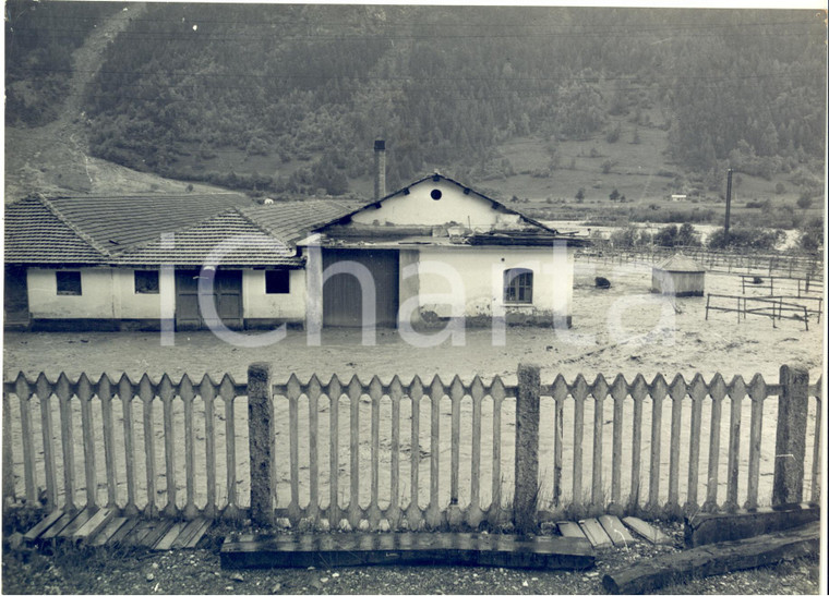 1957 ALLUVIONE VAL DI SUSA Campagne e case allagate - Fotografia 24x18 cm