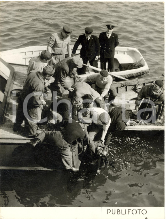 1954 GENOVA Recupero del corpo di un portuale dopo incidente mortale *Foto