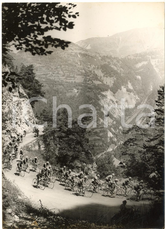 1956 CYCLISME TOUR DE FRANCE Le peloton dans les lacets des Alpes - Photo 13x18