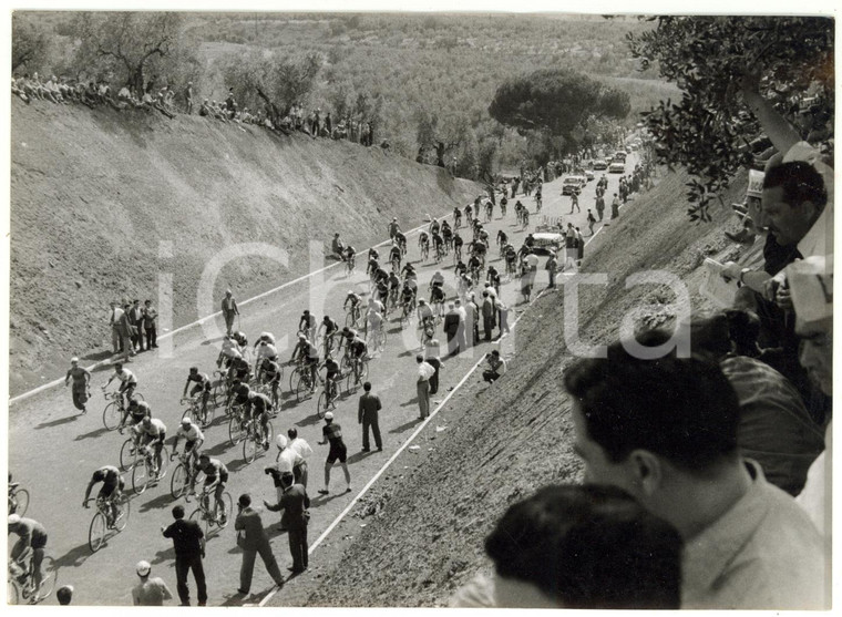 1955 Area di FRASCATI CICLISMO Giro d'Italia 10^ tappa - Il passaggio del gruppo